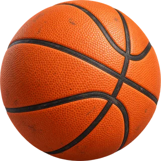 Liro's basketball